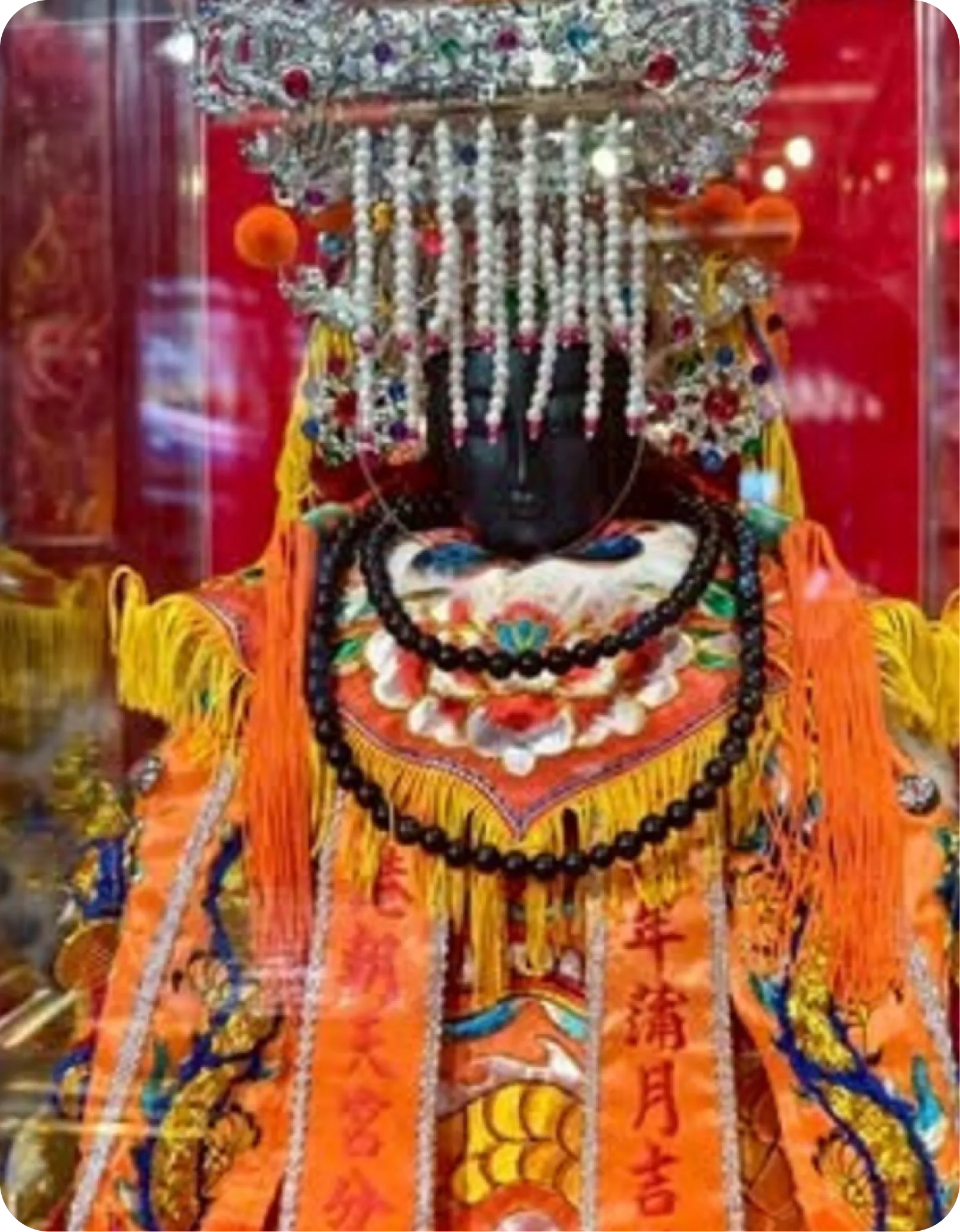 國際參與，功德共享